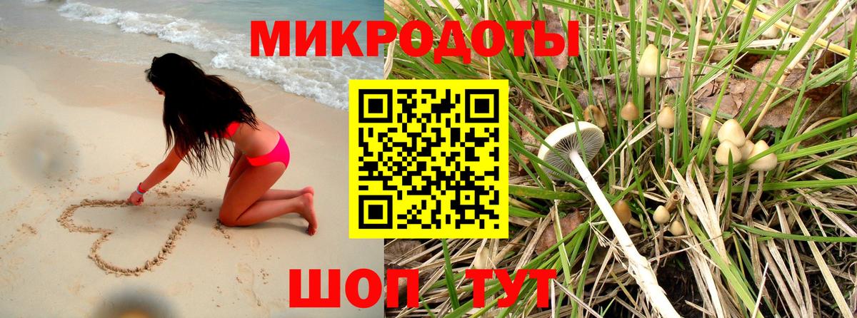 Алейск  Псилоцибиновые грибы GOLDEN TEACHER  купить  цена  Вход с VPN  Галлюциногенные грибы мицелий 